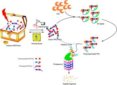 Photopharmacology of Proteolysis-Targeting Chimeras: A New Frontier for Drug Discovery